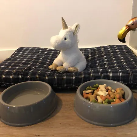 Apartment Serendipia