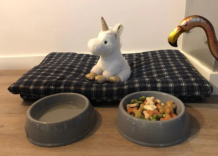 Appartement Serendipia